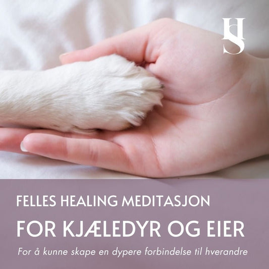 Kjæledyr og eier - Healer Susanne - #Meditasjon# - Digital Meditasjon# - #Healer# - #Healersusanne# - #Healer Susanne#